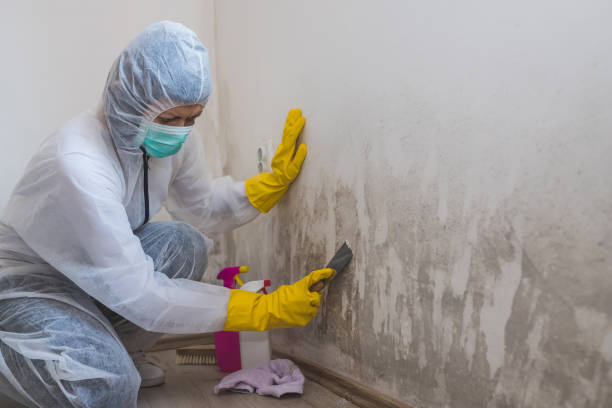 Mold Remediation for Rental Properties in Jeffersontown, KY