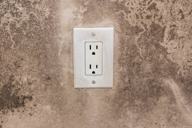 Best Dehumidification Services  in Jeffersontown, KY