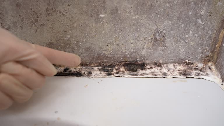 Best Indoor Air Quality Assessment  in Jeffersontown, KY